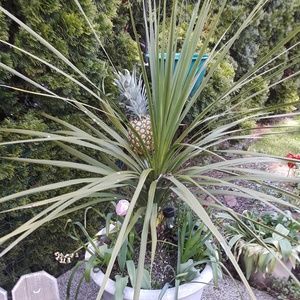 Meet your Posher, Karyn